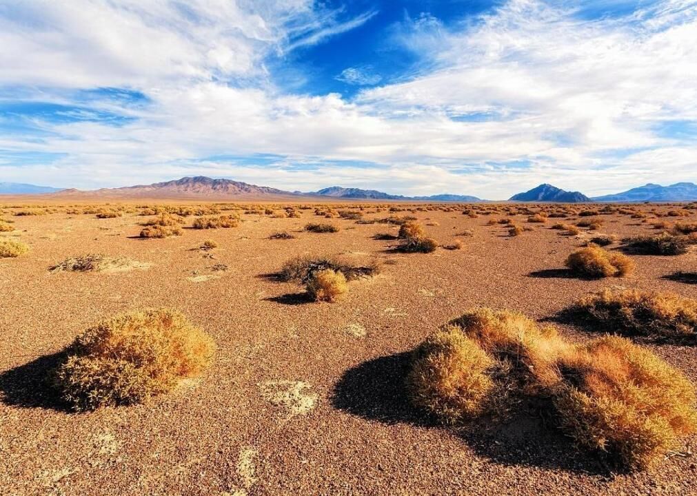 Nevada